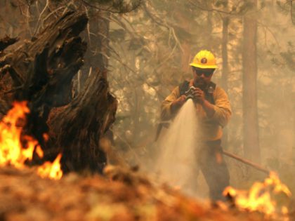 MEYERS, CALIFORNIA - AUGUST 31: A firefighter sprays down hot spots while battling the Caldor Fire on August 31, 2021 in Meyers, California. The Caldor Fire has burned over 190,000 acres, destroyed hundreds of structures and is currently 16 percent contained. (Photo by Justin Sullivan/Getty Images)