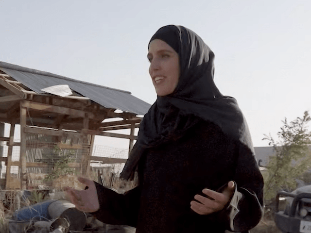 CNN's Ward: Taliban 'Collaborating' with al-Qaeda, Raises Question of How You Deal with Lesser-Known Terrorists - Vimarsana News