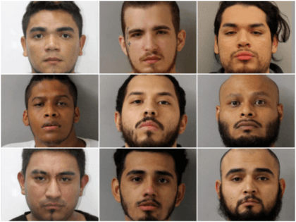 Illegal aliens are among a group of nine MS-13 Gang …