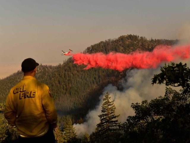 TOPSHOT - A Cal Fire firefighter from the Lassen-Modoc Unit watches as an air tanker makes