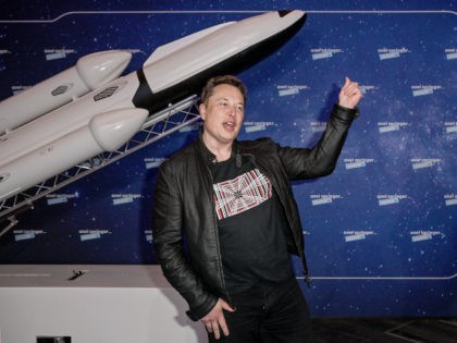 Elon Musk strikes a SpaceX pose (pool/Getty)