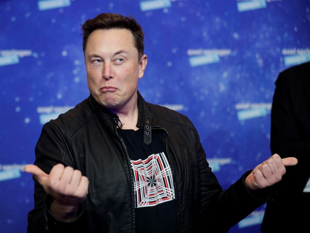 Elon Musk strikes a pose