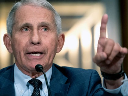 Fauci: ‘Too Soon to Tell’ if We Can Get Together for Christmas