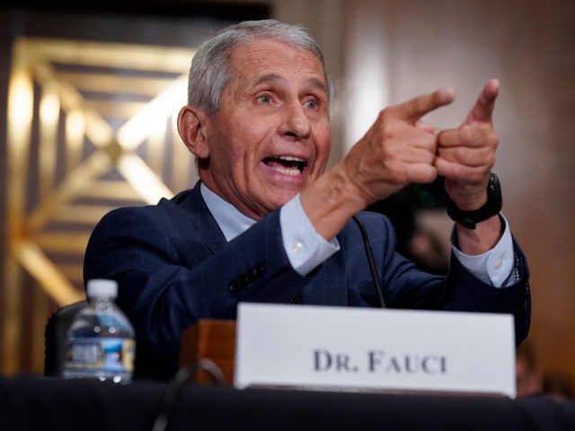 Top infectious disease expert Dr. Anthony Fauci responds to accusations by Sen. Rand Paul,