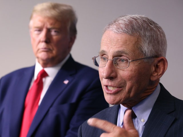 Fauci: Trump’s ‘Misplaced Perception’ About Individual Rights Hurt Public Safety During Pandemic