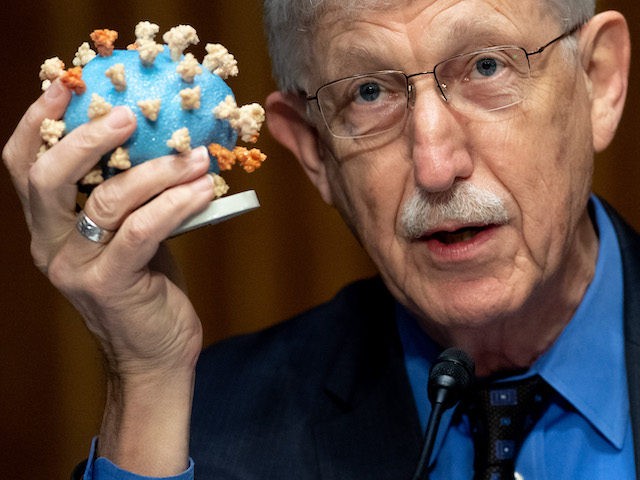 WASHINGTON, DC - JULY 2: Dr. Francis Collins, Director of the National Institutes of Health (NIH), holds up a model of COVID-19, known as coronavirus, during a US Senate Appropriations subcommittee hearing on the plan to research, manufacture and distribute a coronavirus vaccine, known as Operation Warp Speed, July 2, …