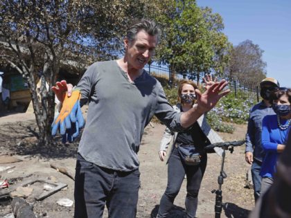 Gavin Newsom (John G. Mabanglo - Pool / Getty)