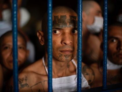 Members of the MS-13 and 18 gangs remain inside their cells during a visit by the Director of the General Directorate of Penal Centers, Osiris Luna (out of frame), at the maximum security prison in Izalco, Sonsonate, El Salvador, on September 4, 2020. - Authorities from the General Directorate of …