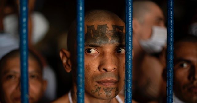 We Can Learn to Fight Gangs from El Salvador