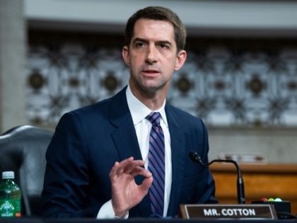 Sen. Tom Cotton, R-AR attends a Senate Judiciary Committee hearing on pending judicial nominations on Capitol Hill in Washington,DC on April 28, 2021. (Photo by Tom Williams / POOL / AFP) (Photo by TOM WILLIAMS/POOL/AFP via Getty Images)