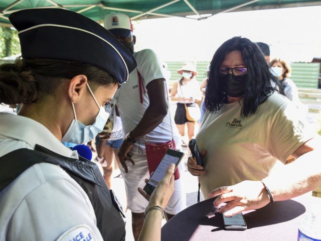 A French Police officer performs educational checks of health passes and verifies the corr