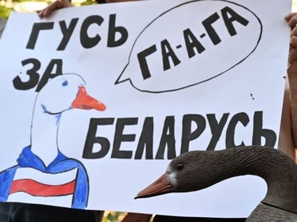 Members of Belarusian diaspora hold a placard as they take part in a rally called "Goose for Belarus!" outside the Belarus embassy in Kiev on July 23, 2021. - Protesters sat with plastic gooses as the chatter of gooses "Ga-ga-ga" resembles the name of Holland city of Hague in Slavic …