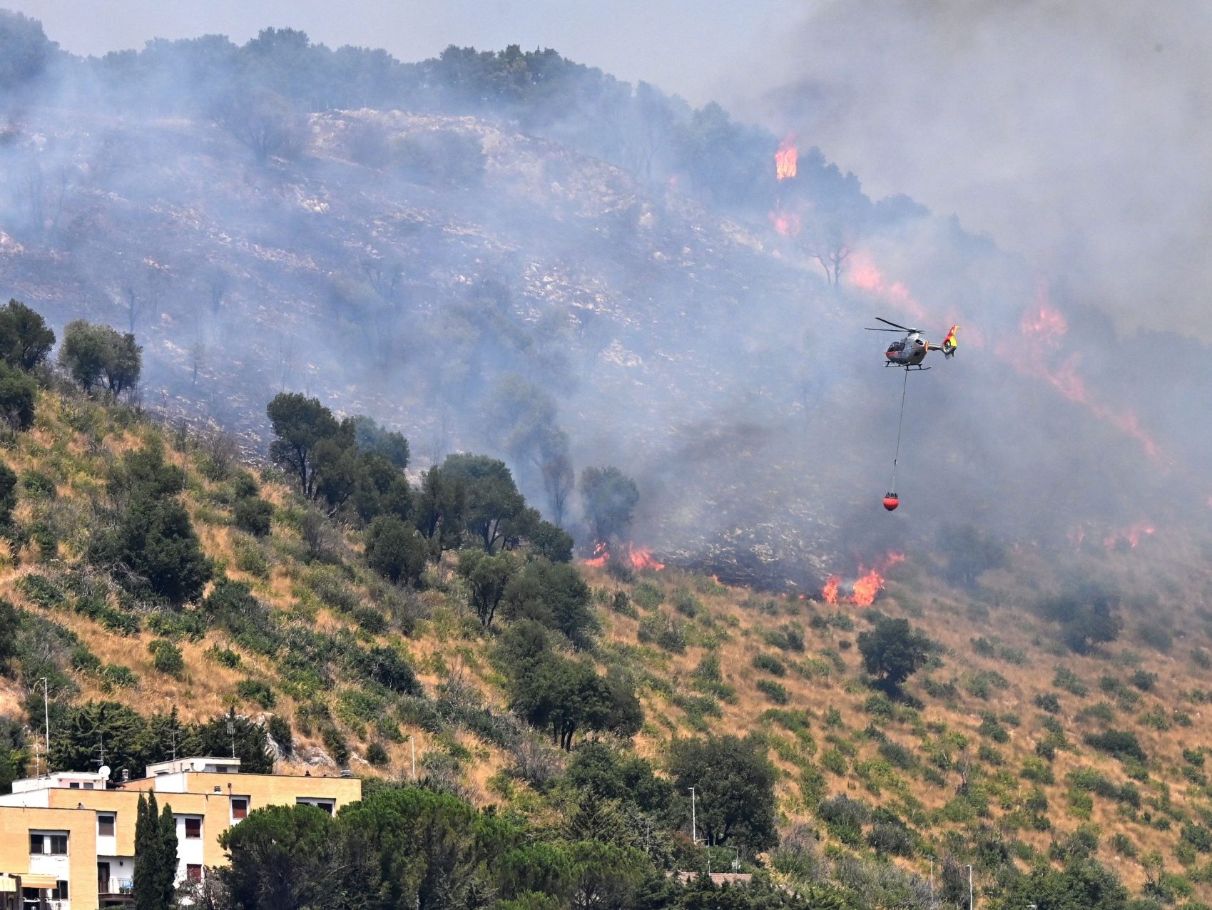 Italian Mayors Accuse Arsonists of Starting Wildfires - Vimarsana News