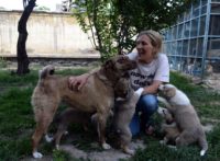 Royal Marine Turned Charity Worker Saves Rescue Animals from Kabul, Clashes with UK Govt