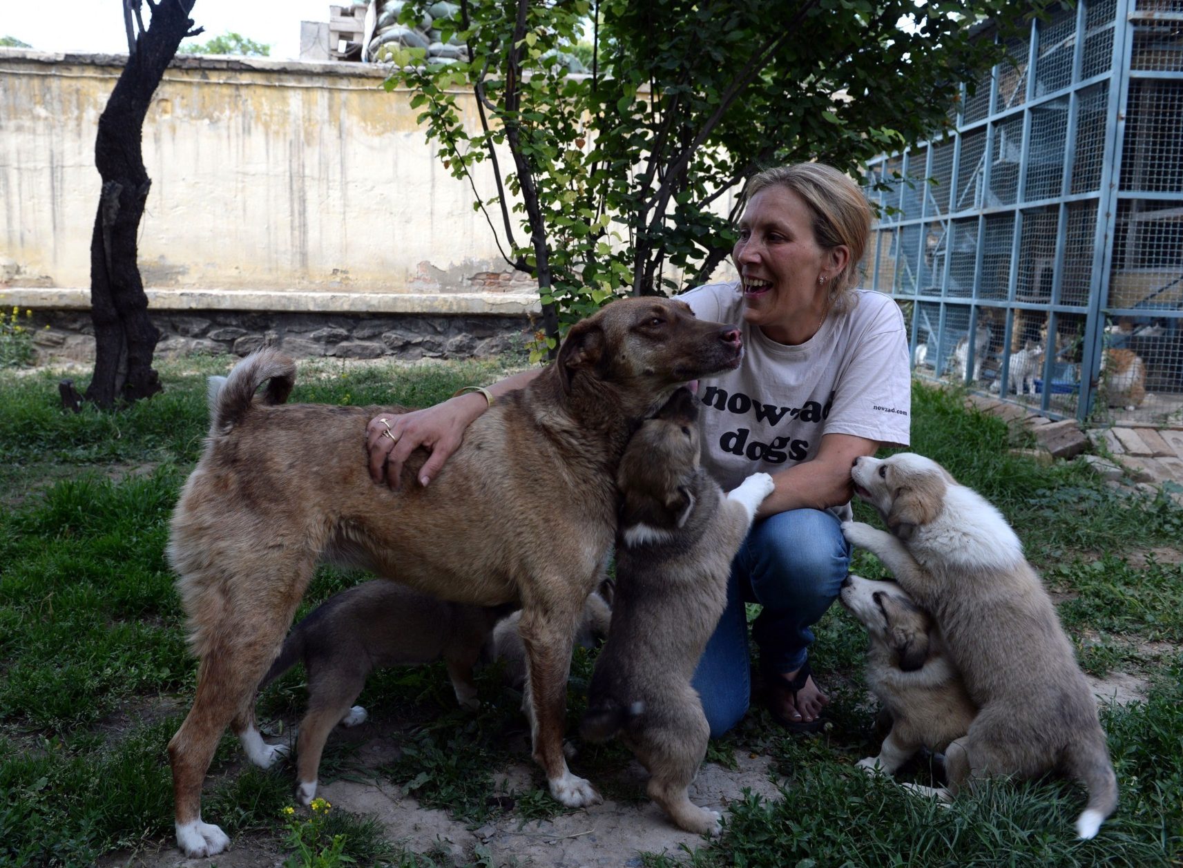 Royal Marine Turned Charity Worker Saves Rescue Animals from Kabul - Vimarsana News