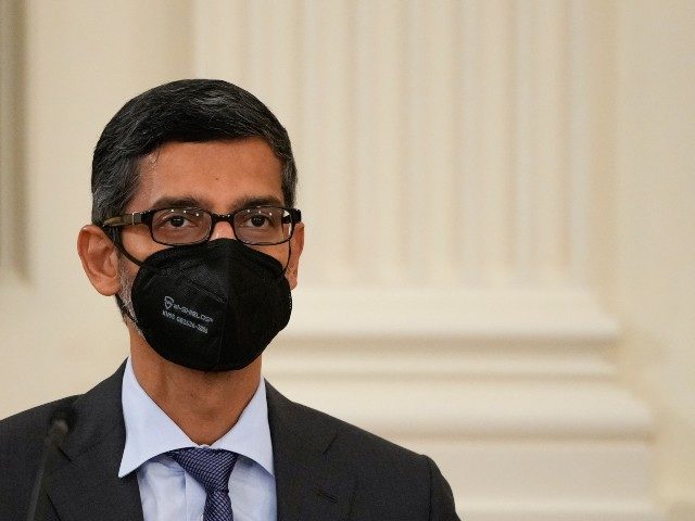Google boss Sundar Pichai is masked up ( Drew Angerer /Getty)