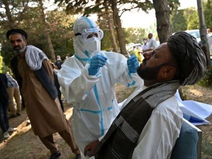 A medical official wearing a Personal Protective equipment (PPE) suit takes a swab sample from a members of the Loya jirga (grand assembly of Afghan elders) to test for the COVID-19 coronavirus at the Kabul Polytechnic University, in Kabul on August 5, 2020. (Photo by WAKIL KOHSAR / AFP) (Photo …