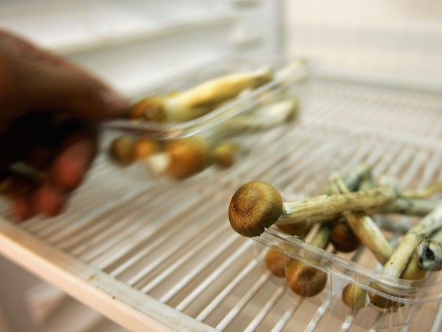 LONDON - JULY 18: A worker cleans out the last stock of mushrooms from a fridge on July 18