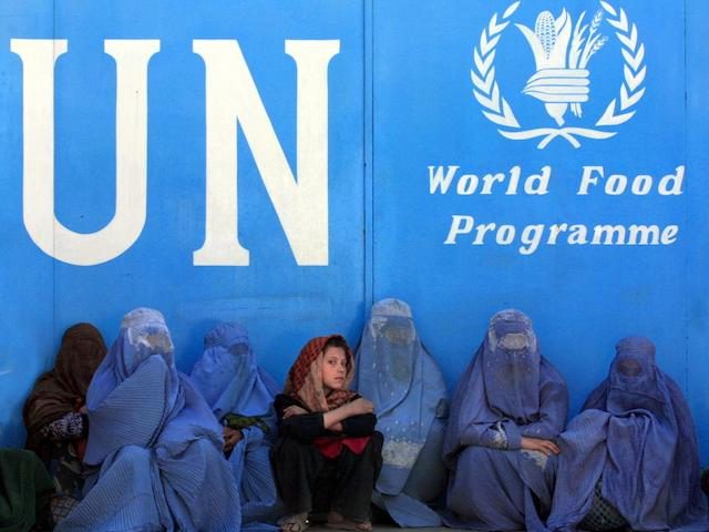 Afghan women sit in front of the UN World Food Programme (WFP) headquarters in Kabul, 24 N