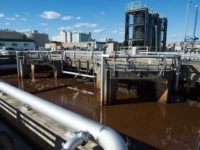 Swamp Alert: D.C. Issues Boil Water Advisory for Northeast Neighborhoods