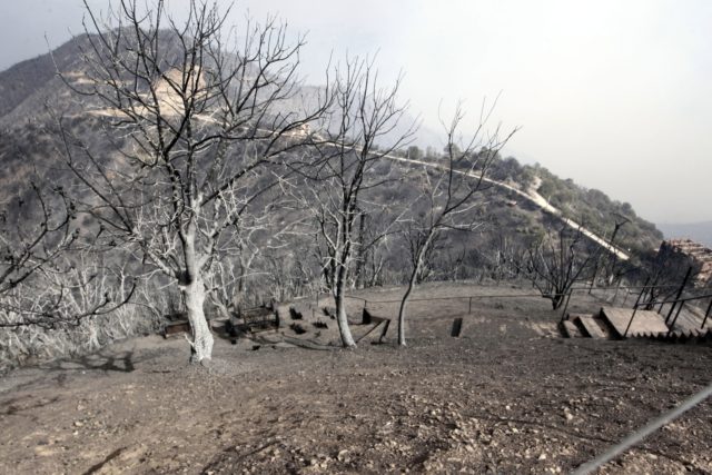 Algeria Fires The Associated Press