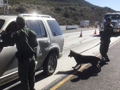 FILE - In this Dec. 14, 2017 file photo, border patrol agents use a drug sniffing dog to check vehicles at California's Pine Valley checkpoint, on the main route from Arizona to San Diego. Attorney General Jeff Sessions has rescinded an Obama-era policy that paved the way for legalized marijuana …