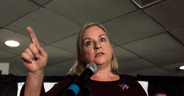 Vulnerable PA Democrat Susan Wild Distances Herself from 'Bidenomics'