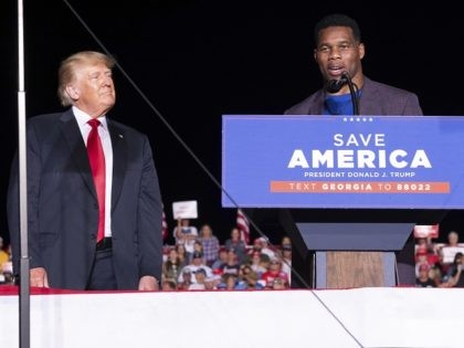 Donald Trump Backs Up Herschel Walker as Georgia Candidate ‘Being Slandered and Maligned’