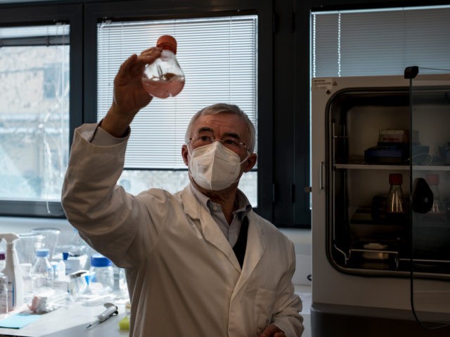 SIENA, ITALY - FEBRUARY 22: Scientific coordinator Professor Rino Rappuoli takes out a flask with antibodies into the incubator for COVID project at TLS Foundation on February 22, 2021 in Siena, Italy. The Toscana Life Sciences NGO, where Professor Rino Rappuoli is scientific coordinator of the MAD Lab, is working …