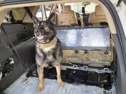 A Border Patrol K-9 discovers nearly 39 pounds of cocaine at an immigration checkpoint in California. (Photo: U.S. Border Patrol/El Centro Sector)
