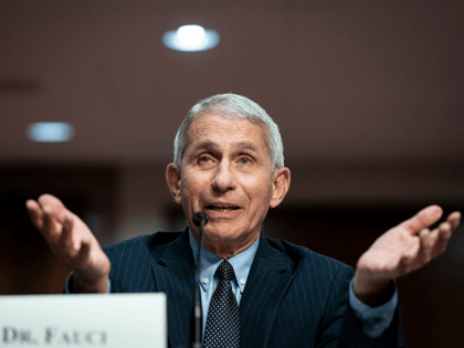 Fauci: Christmas Comment ‘Taken Completely Out of Context’ — ‘I Encourage’ People to Have Normal Christmas