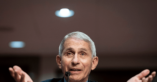 Fauci: Rand Paul Is ‘Raising Money’ — ‘He’s Killing You, He’s Murdering People’