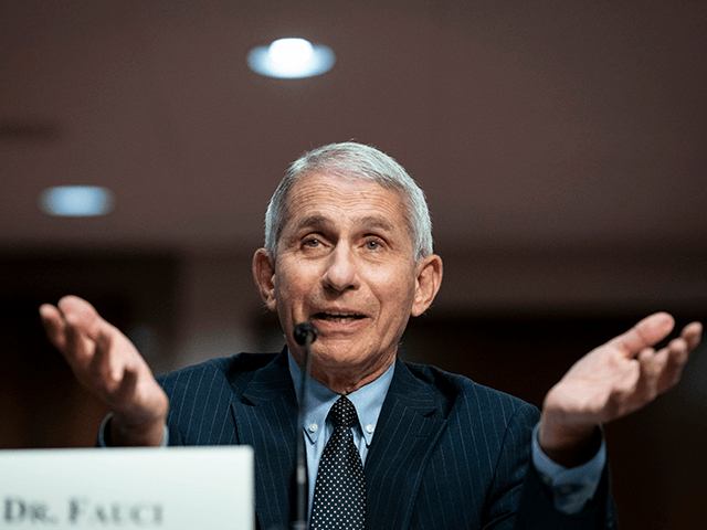 Dr. Anthony Fauci, director of the National Institute of Allergy and Infectious Diseases, speaks during a Senate Health, Education, Labor and Pensions Committee hearing on June 30, 2020 in Washington, DC. Top federal health officials discussed efforts for safely getting back to work and school during the coronavirus pandemic. (Photo …