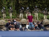 ‘It’s a Horse, Not a Cow’ – Bizarre Media ‘Fact-Check’ on Reports of Bestiality, Child Porn on Migrant Phones