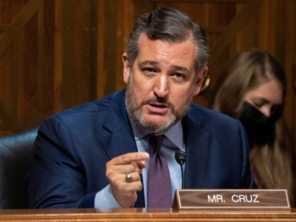 US Sen. Ted Cruz R-TX, asks questions to Mr. Steve Satterfield, Vice President, Privacy &a