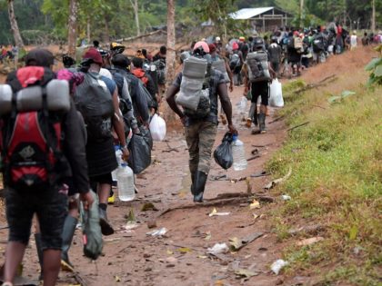 Haitian migrants cross the jungle of the Darien Gap, near Acandi, Choco department, Colombia, heading to Panama, on September 26, 2021, on their way trying to reach the US. - From Acandi, they started on foot -- and armed with machetes, lanterns and tents -- the dangerous trek of at …