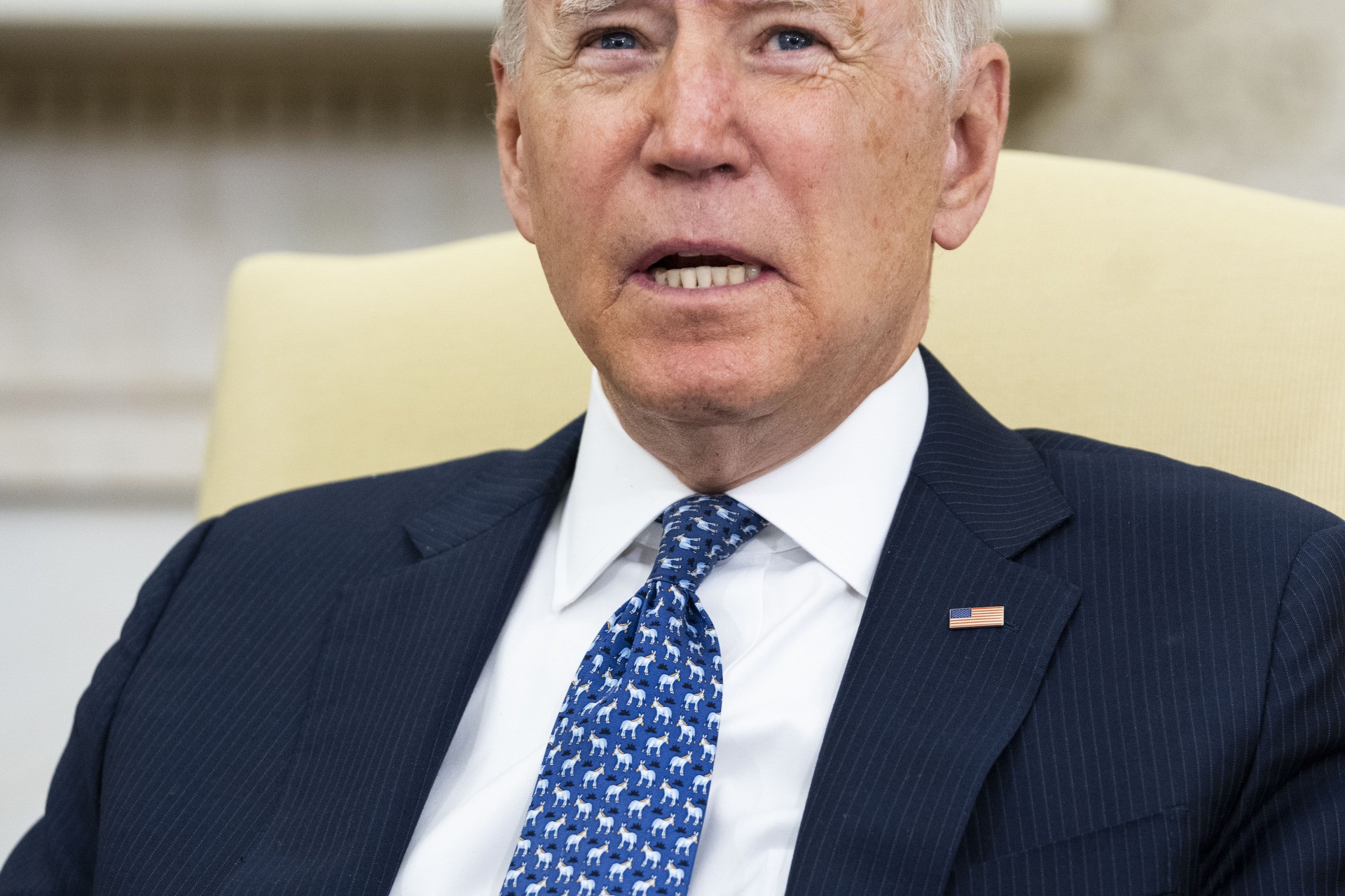 WASHINGTON, DC - SEPTEMBER 01: Wearing a necktie decorated with donkeys, U.S. President Joe Biden listens to Ukrainian President Volodymyr Zelensky during a press availability in the Oval Office at the White House on September 01, 2021 in Washington, DC. This was the two leaders' first face-to-face meeting and the first by a Ukrainian leader in more than four years. (Photo by Doug Mills-Pool/Getty Images)