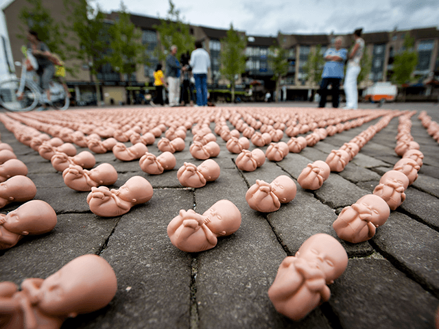 Hundreds of little plastic foetuses are displayed on a square in Houten, August 12, 2013.