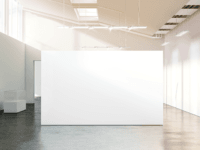 Museum Gave Artist $84K for Artwork, He Delivered Blank Canvases