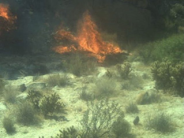 Border Patrol agents arrest a Mexican national for allegedly setting fires in California's Jacumba Wilderness region. (Photo: U.S. Border Patrol/El Centro Sector)