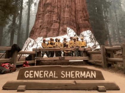 General Sherman sequoia fire (Inciweb / U.S. Government_