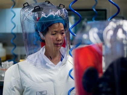 Chinese virologist Shi Zhengli is seen inside the P4 laboratory in Wuhan, capital of China's Hubei province, on February 23, 2017. - The P4 epidemiological laboratory was built in co-operation with French bio-industrial firm Institut Merieux and the Chinese Academy of Sciences. (Photo by Johannes EISELE / AFP) (Photo by …