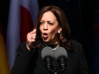 Harris Warns Putin of 'Serious Consequences' if He Invades Ukraine