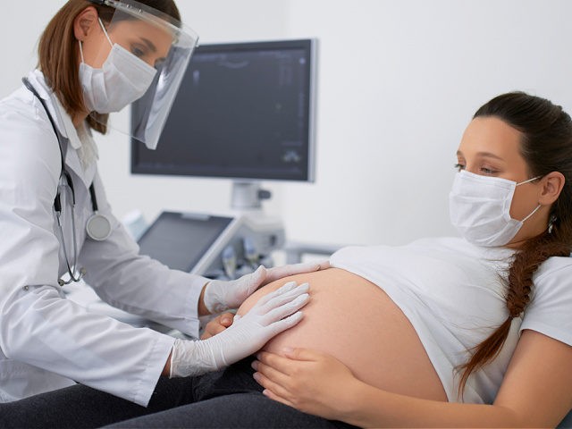 Gynecologist in mask doing palpation of pregnant woman - stock photo