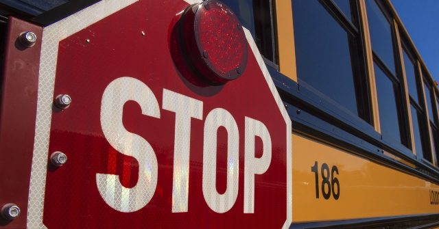 VIDEO: Citizen Rescues Children from Overturned School Bus