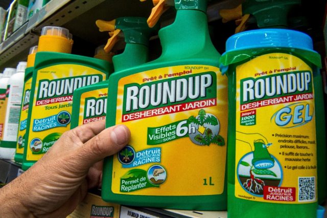 Bayer, which now owns Roundup, insists that the main ingredient, glyphosate, is safe, but the firm continues to face litigation