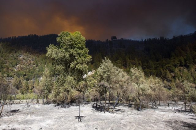 KNP Complex Fire threatens Sequoia National Park's Giant Forest