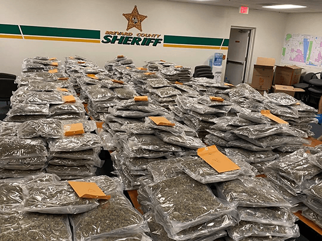 Sheriff Jokes He Wishes to 'Reunite' 770 Pounds of Pot with 'Owner' - Vimarsana News