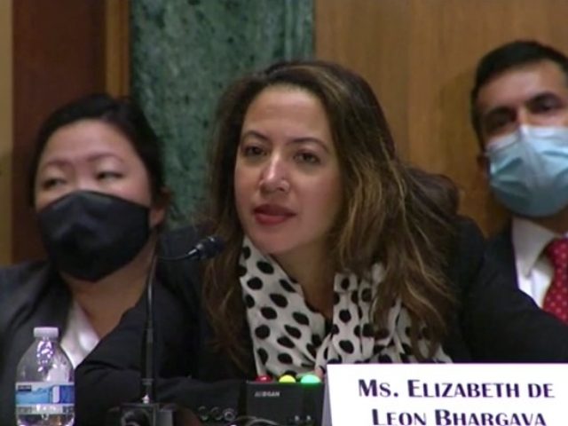 Elizabeth de Leon Bhargava (Screenshot / Senate Committee on Banking, Housing, and Urban A