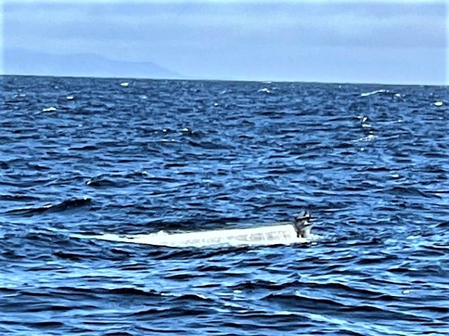 23 Migrants found hanging on capsized board 100 miles off California Coast. (Photo: U.S. Coast Guard/Pacific Southwest)